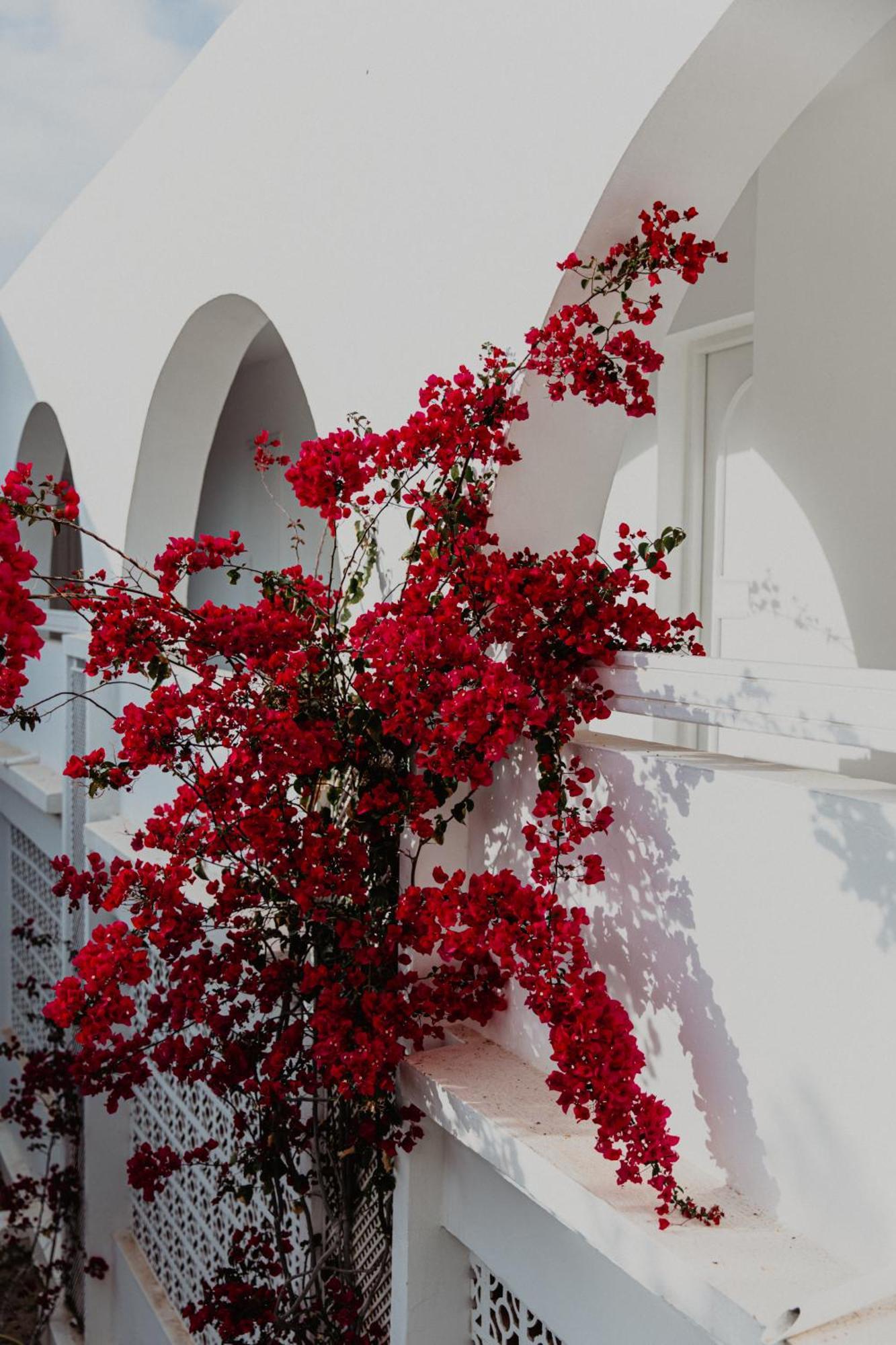 Hotel Bougainvillier Djerba تاجورميس المظهر الخارجي الصورة