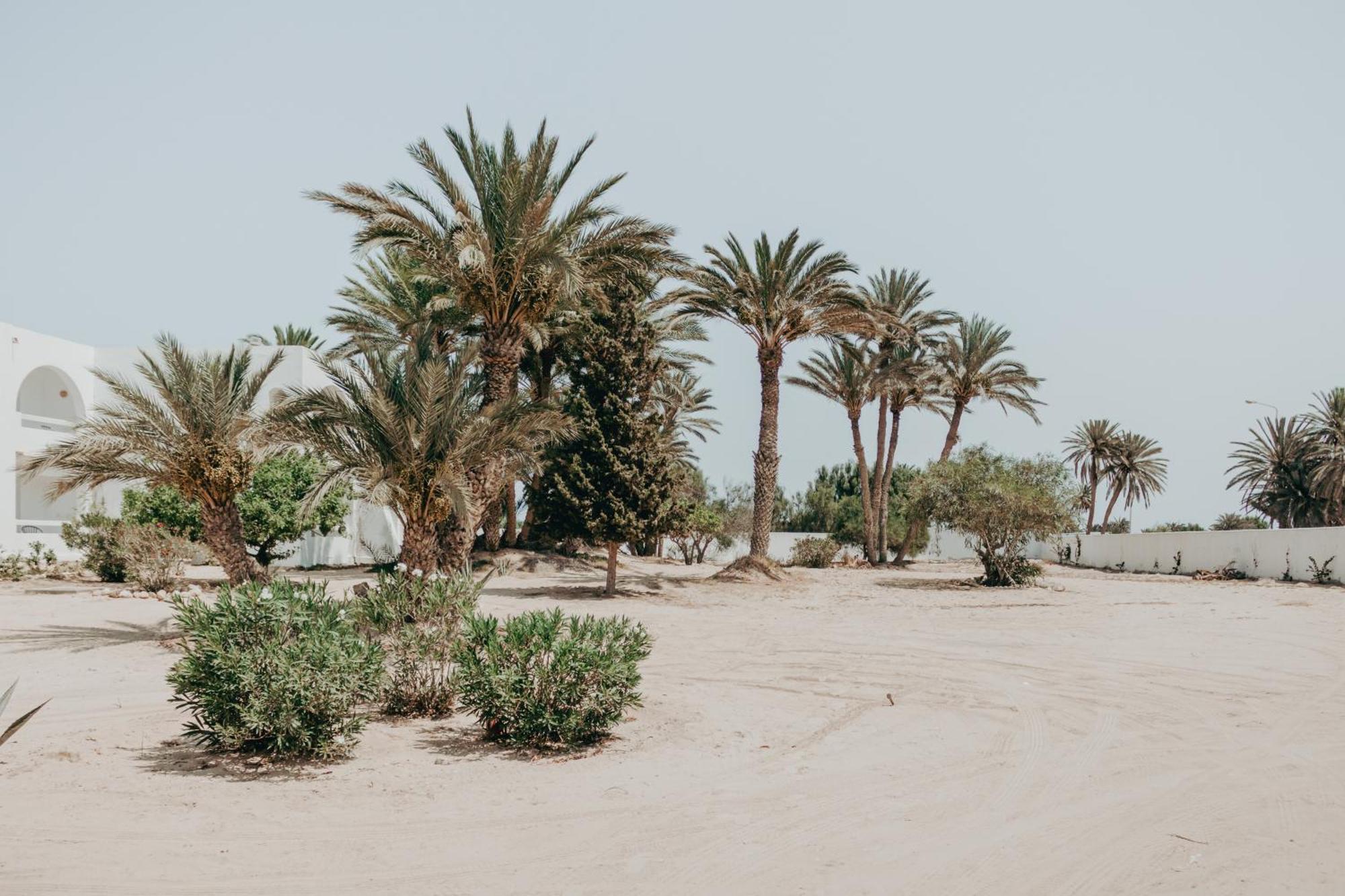 Hotel Bougainvillier Djerba تاجورميس المظهر الخارجي الصورة